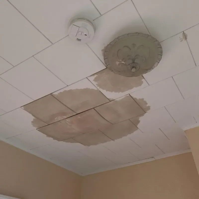 Ceiling Water Damage Repair in Seagraves, TX