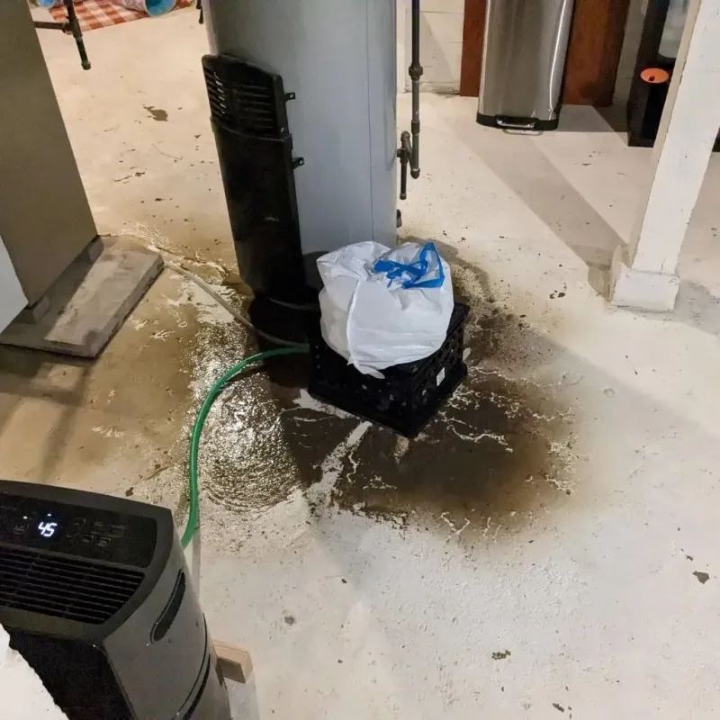 Sewage Backup Cleanup Service in Seagraves, TX